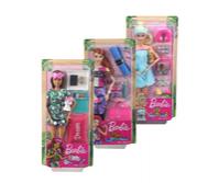Кукла Barbie - Уелнес, асортимент